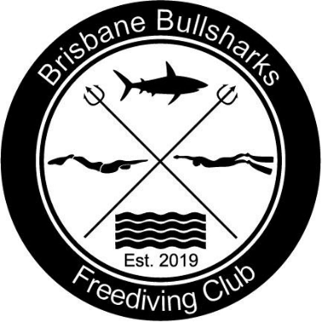 Brisbane Bullsharks Logo